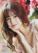 <b>再加上若干“部会”情况</b>