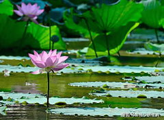 我们才能正在不安本分中寻找新的冲破点；不形